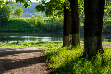 Sunlit tree trunks with lush green grass by a tranquil river, dappled light on a rustic path. Serene countryside view with a distant house
