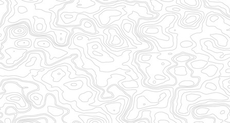 Topography background. Vector banner. Topography map background. Background of the topographic map. Topographic map lines, contour background.