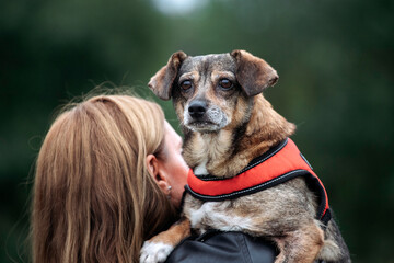 A happy domestic dog without a breed.