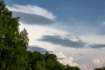 Lush green birch crowns under a dynamic, cloudy sky. Striking lenticular formations and layered cumulus add intrigue to this natural panorama