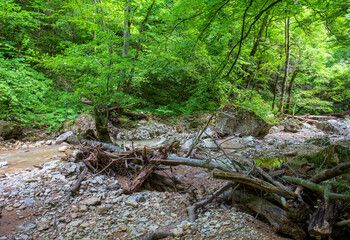 A narrow gorge through which a river flows, the sun's rays break through the foliage
