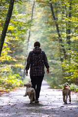 Woman and her dogs in autumn landscape