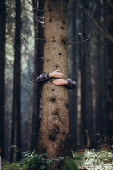 Woman hand embracing a tree in green forest - nature loving, fight global warming, save planet earth