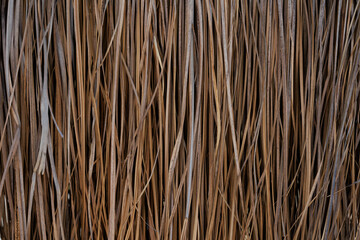 Close up of thatch roof or wall background. Tropical roofing on beach. High quality photo