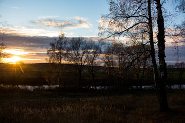 Dramatic autumn sunset over a calm river with silhouettes of birch trees and dry grass in the foreground, warm light glowing through bare branches