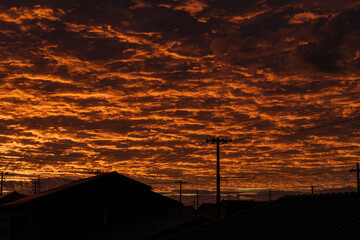 朝焼けに染まる雲