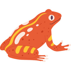 Orange Frogs With Yellow And White Stripes And Spots On A Transparent Background