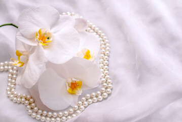 The branch of white orchids on white fabric background

