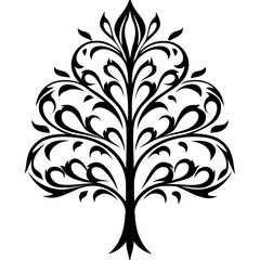 Obraz premium Cabbage tree on white background.02