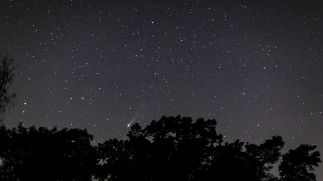 Comet C2025 A6 Lemmon on night sky. Night sky 4k timelapse.