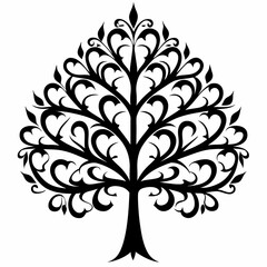 Obraz premium Cabbage tree on white background.04