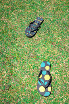 Colourful thongs/ flip flops on the grass - vertical