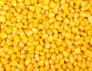 A macro shot of vibrant golden corn kernels, illustrating a staple food ingredient. Every kernel glistens under the light.