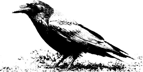 Obraz premium Bold raven silhouette in black and white halftone design for print and posters