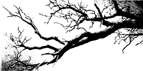 Obraz premium Black and white halftone pattern of tree branches for design or poster