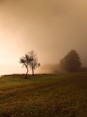 Mglisty, jesienny poranek nad jeziorem