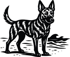 Dutch Shepherd Dog standing on beach with waves.