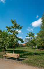 Blick vom Stadtpark in Beelitz auf den hinter B&auml;umen versteckten Turm der Stadtpfarrkirche "St. Marien und St. Nikolai"
