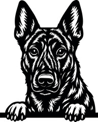 Striking Black and White Dog Head with Paws Peeking Dutch Shepherd illustration.