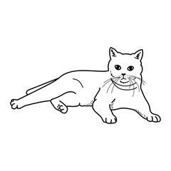 vector outline illustration of a relaxed cat lying down.