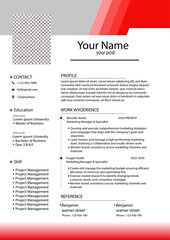 Professional curriculum vitae design template 