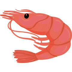 A Detailed Vector Illustration of a Single Pink Shrimp on a Transparent Background Showcasing its Segmented Body and Antennae