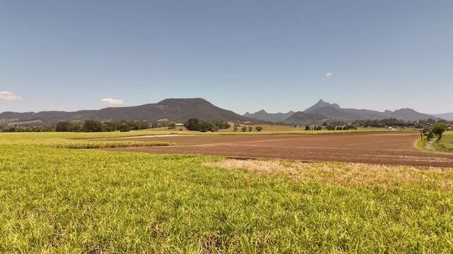 Cane fields near Murwillumbah with Mount Warning in the background on a sunny day on Australia