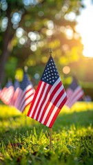 Small American flags in grass, sunlit