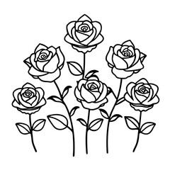A delicate line art illustration of a bouquet of blooming roses isolated on white background