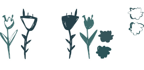 Minimal floral illustration with two hand drawn wildflowers in Scandinavian style simple botanical vector art
