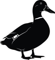 Silhouette of a black duck standing profile facing left ideal for wildlife art and design projects flat design vector illustration isolated on transparent background