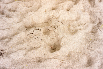 sand texture background