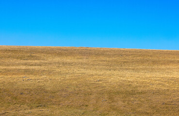 Landscape with dry grass on a hillside and blue sky, drought