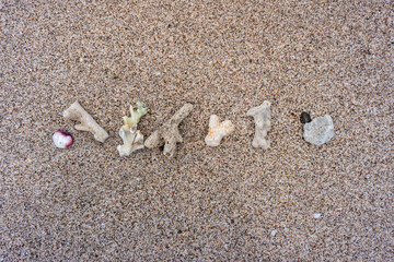 shells on the beach