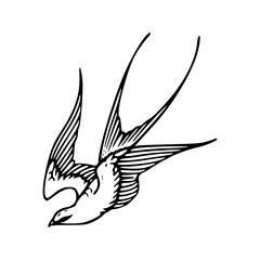 Fototapeta premium vintage flying bird engraving style vector