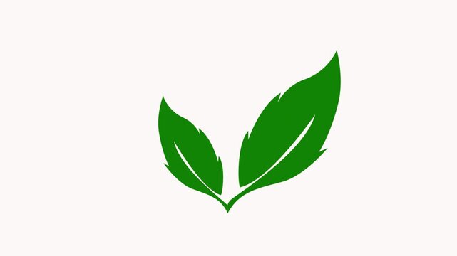 Leaf icon animation design simple