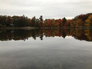 reflection of trees in the lake