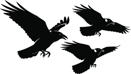 Silhouette of three black birds flying in dynamic formation against white flat design vector illustration isolated on transparent background