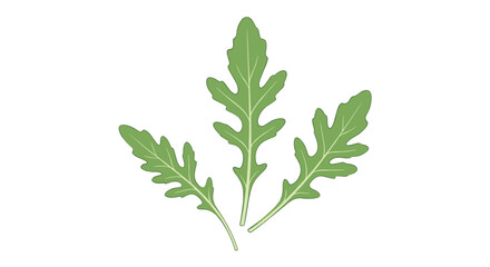 Naklejka premium Three arugula leaves arranged on a white background in a simple and clean presentation style