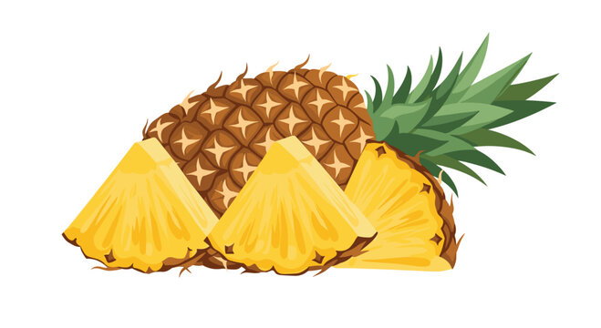 A whole pineapple with green leaves and three pineapple slices on a white background vector image