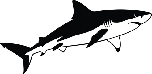 Dynamic illustration of a great white shark swimming in the ocean with a powerful presence flat design vector illustration isolated on transparent background