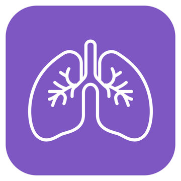 Spleen icon vector image. Can be used for Human Anatomy.