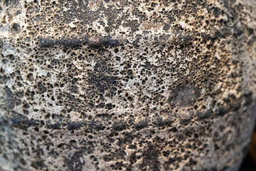 Close-up of a textured volcanic rock surface showcasing unique patterns and colors.