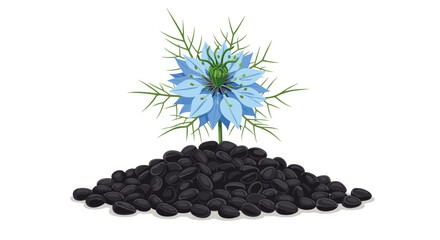 A nigella flower with light blue petals and green leaves on top of a pile of black seeds isolated