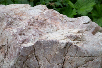 Tekstura kamienia w lesie