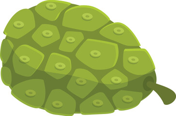 Exotic noni fruit isolated on white background, showcasing its bumpy skin texture