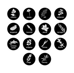 Naklejka premium Spices and herbs stickers and labels. Different color packaging for food preparing and culinary. Bags with herbs. Cilantro, poppy, dill, marjoram, bergamot organic product for selling vector set. 