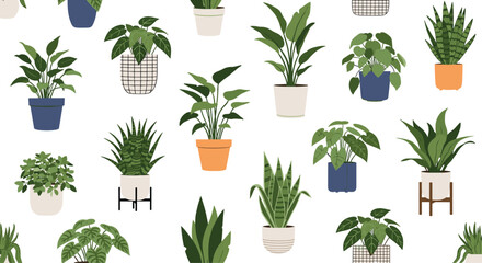 Trendy houseplant collection for interior design, perfect for adding a touch of vibrant greenery to any modern space