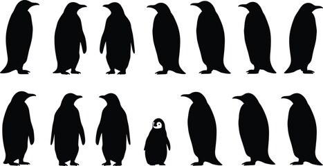 Penguin silhouettes group illustration, unique standout penguin design, wildlife art, individuality concept, black and white birds, nature symbol, diversity