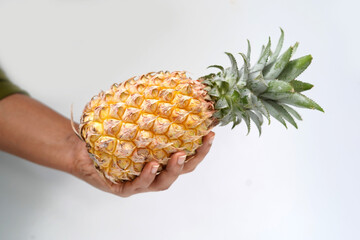 Hand holding pineapple. fruit photography